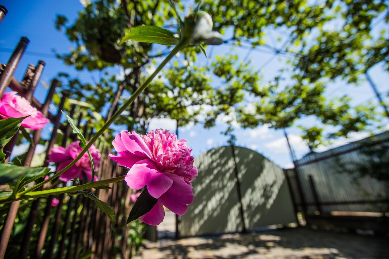Guest House In Drachino Свалява Екстериор снимка